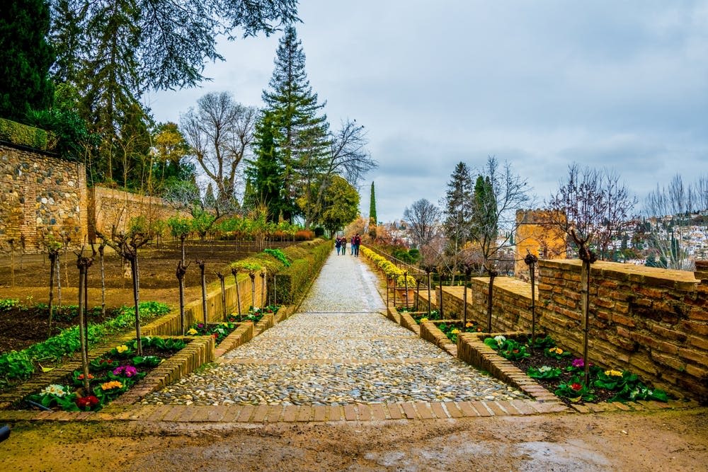 흐린 하늘 아래 멀리 떨어진 사람들로 이어지는 식물과 나무가 늘어선 자갈길.