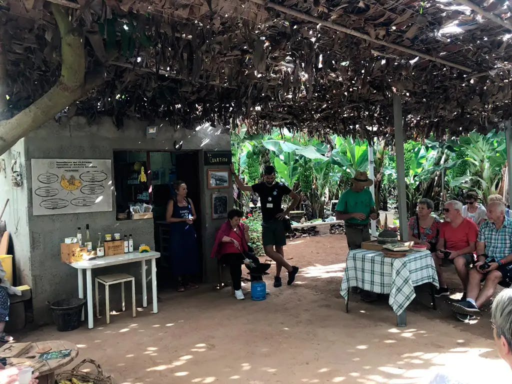 탁자가 놓인 소박하고 낙엽이 우거진 캐노피 아래 앉아서 서 있는 한 무리의 사람들. 녹색 열대 식물이 이 지역을 둘러싸고 있습니다.