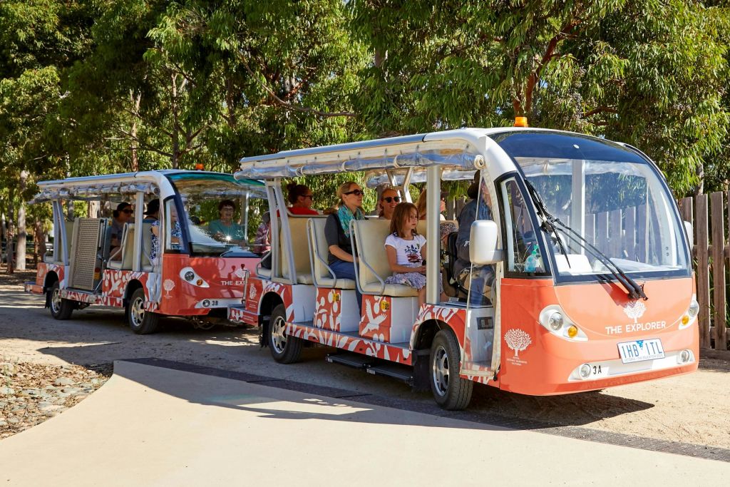 익스플로러 버스