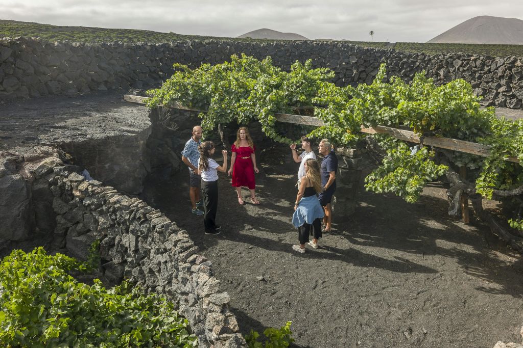 차보코 센테나리오 방문