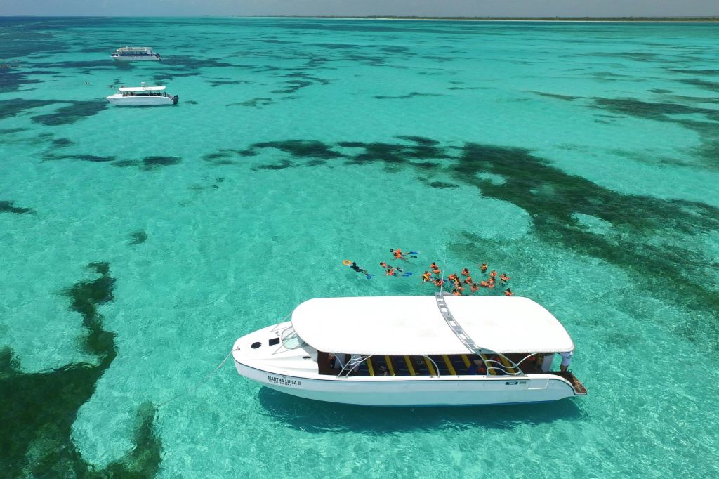 산호초에서 스노클링 즐기기