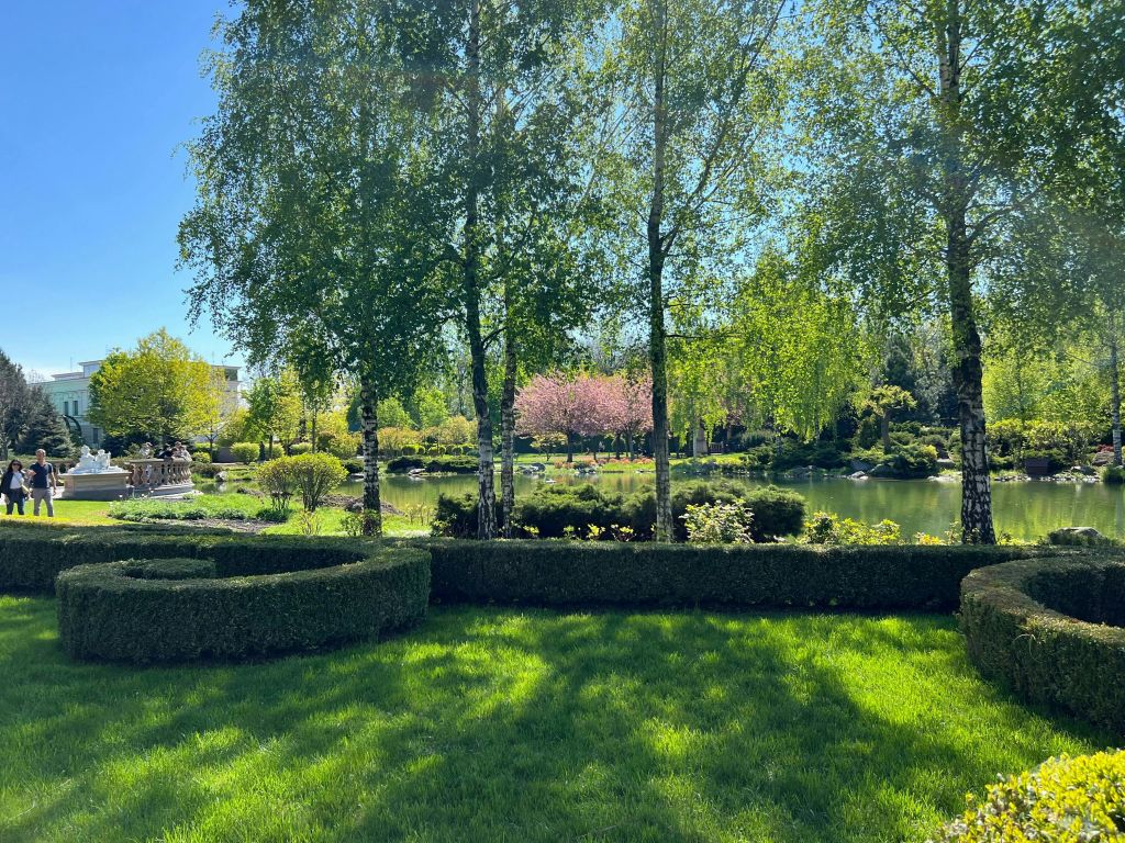 화창한 날에는 울타리를 다듬고 높은 나무와 연못을 배경으로 잘 꾸며진 정원입니다.