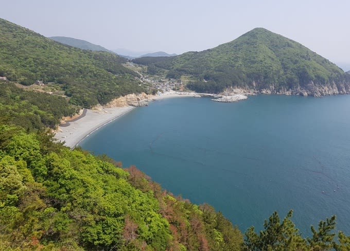 여차 · 홍포 해안 도로
