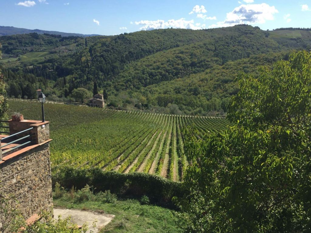 포도나무가 우거진 포도원, 작은 석조 건물, 울창한 푸른 언덕, 구름이 낀 맑고 푸른 하늘.