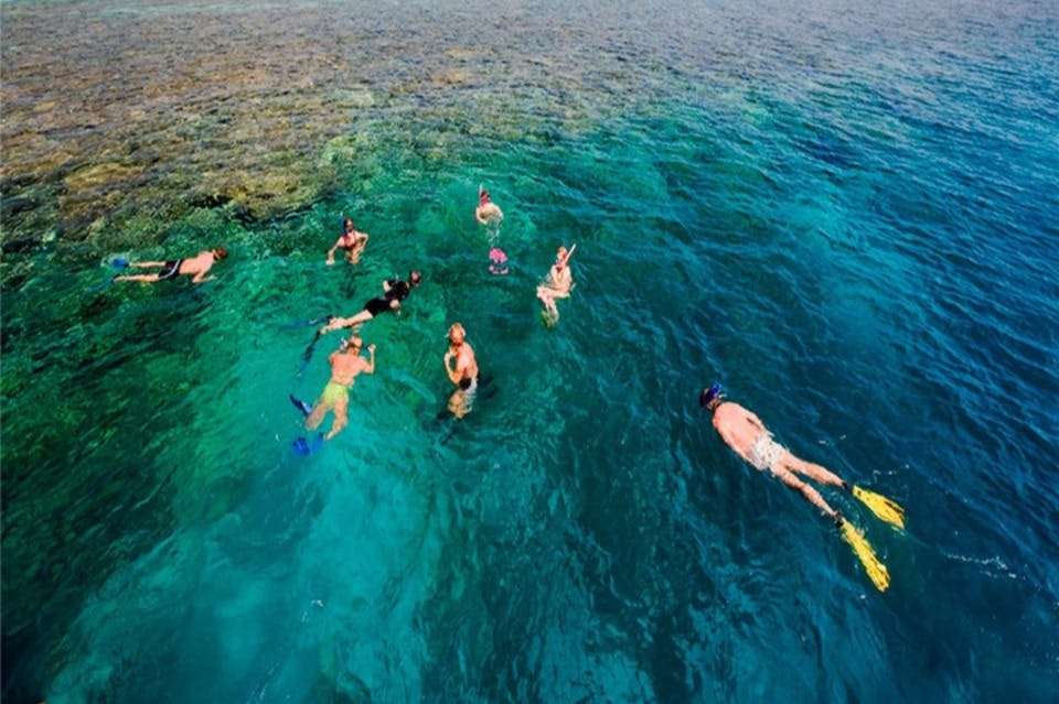마르사알람에서 즐기는 스노클링