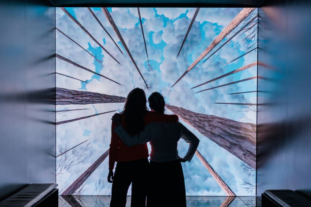 아래에서 바라본 높은 나무와 흐린 하늘이 보이는 화면에 두 사람이 실루엣으로 서 있습니다.