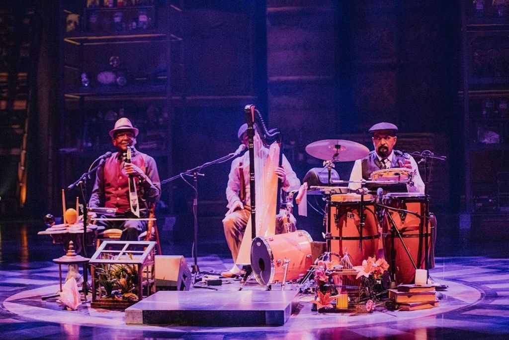 태양의 서커스 JOYÀ, VIDAFEL