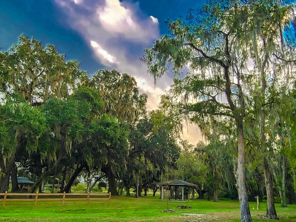 스페인 이끼로 덮인 커다란 나무, 나무 울타리, 잔디가 우거진 지역, 부분적으로 흐린 하늘 아래 작은 정자가 있는 공원 풍경.