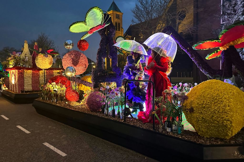 코르소 나이트 2