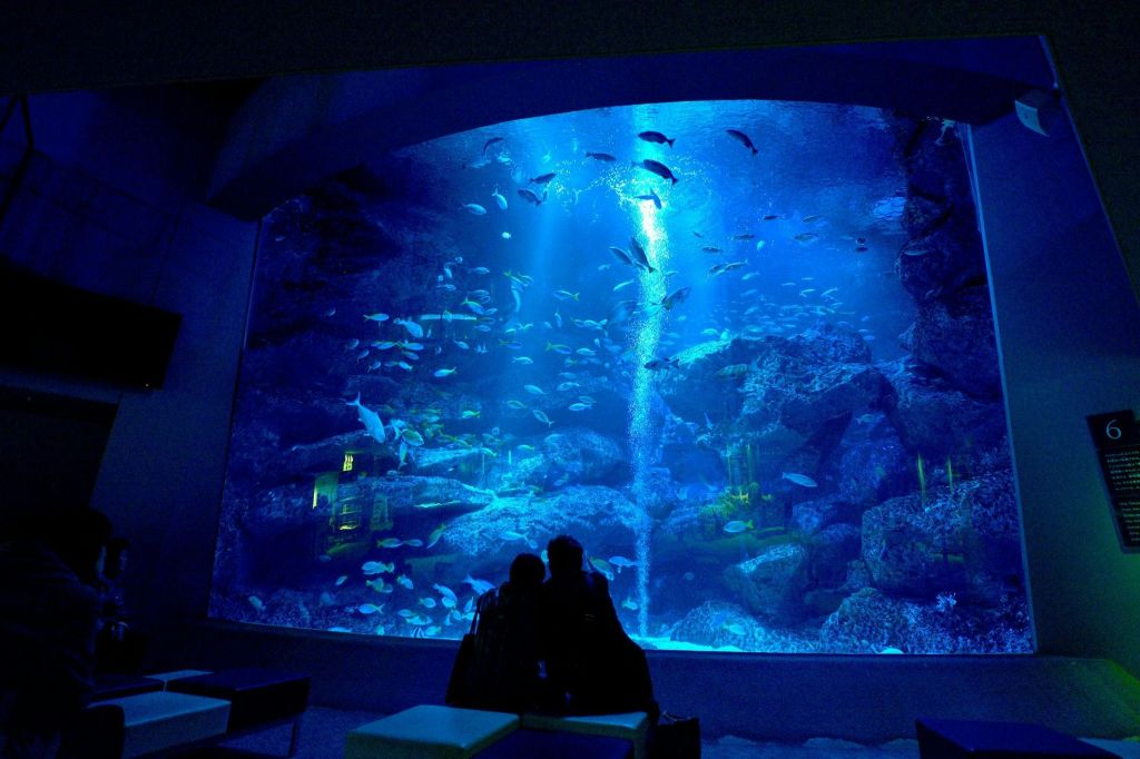 Sumida Aquarium