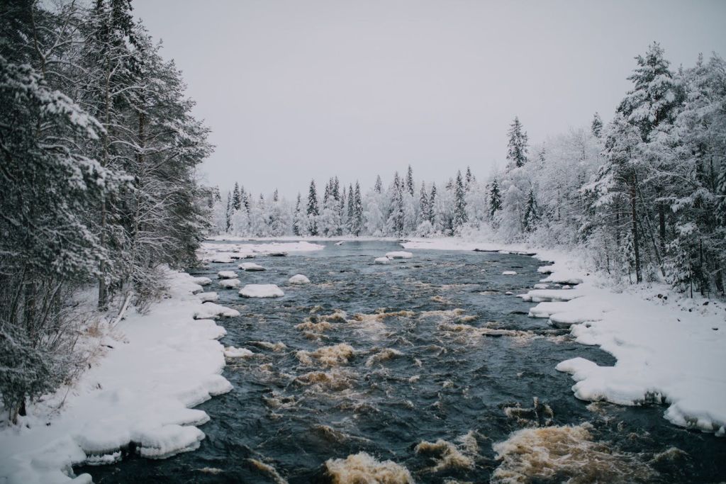 비카콘가스 자연