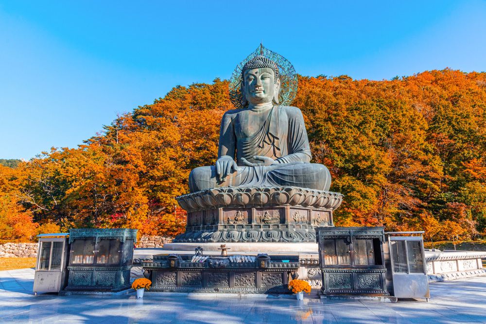 [From Seoul] Seoraksan National Park Autumn Foliage Day Tour