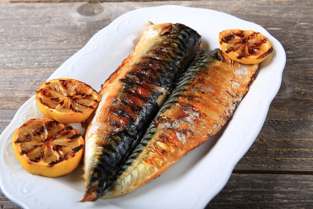 Grilled Mackerel