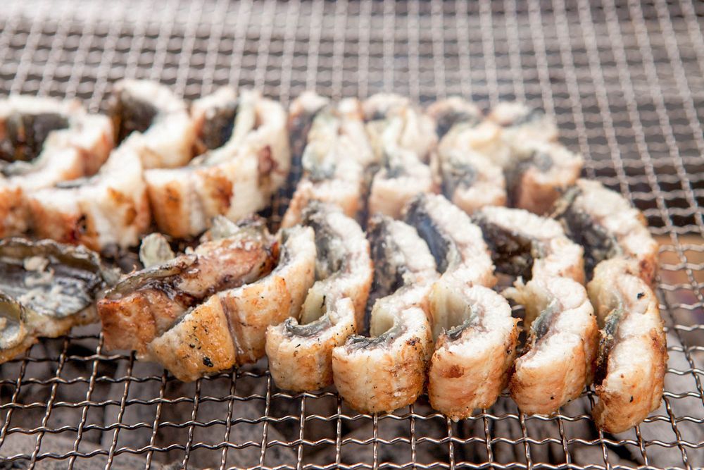 Grilled Sea Eel