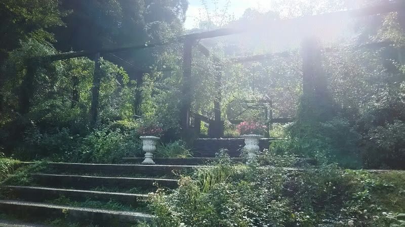 poi-image-4