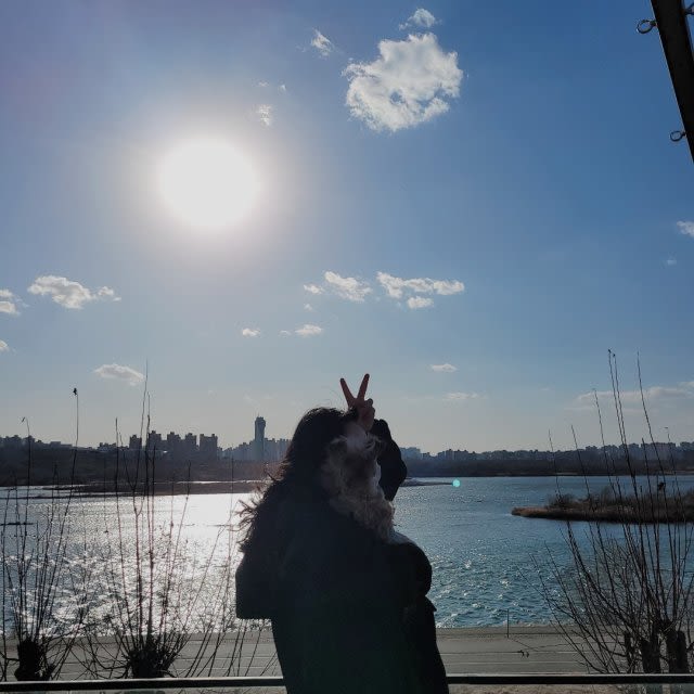 user profile image