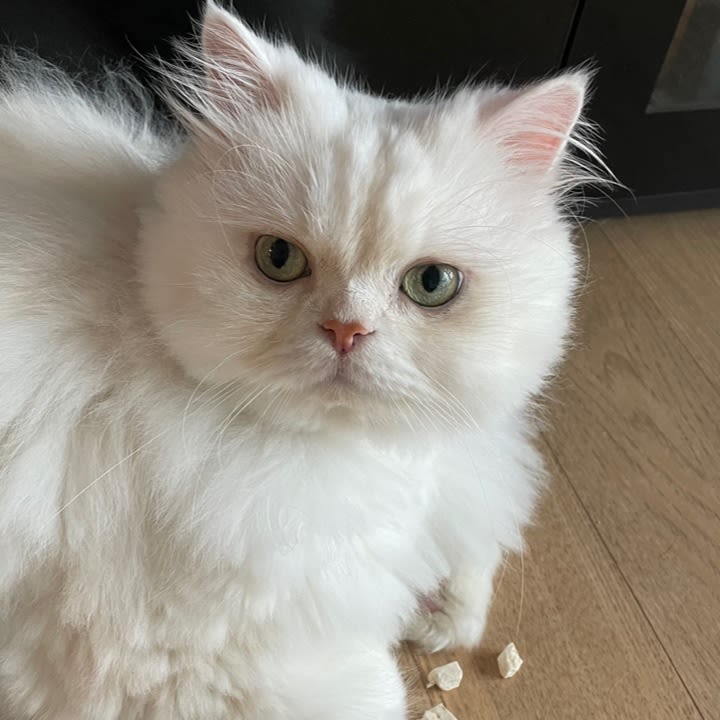 농선