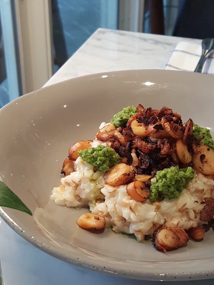 Octopus and shrimp risotto