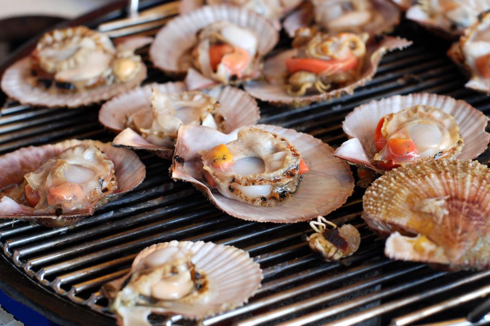 Grilled Assorted clams