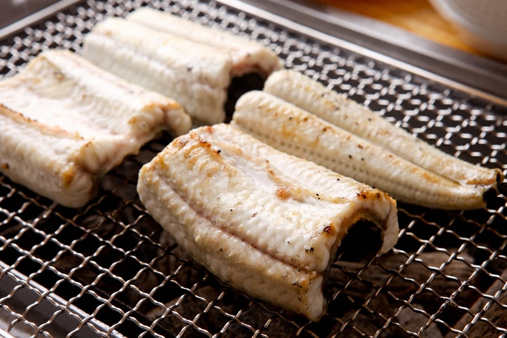 Grilled Eel