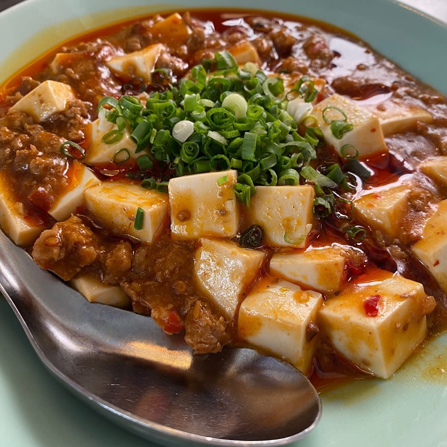 Mapo Tofu (spicy bean curd)