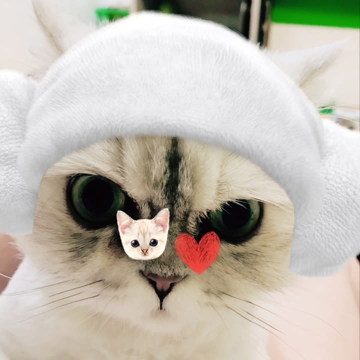 user profile image