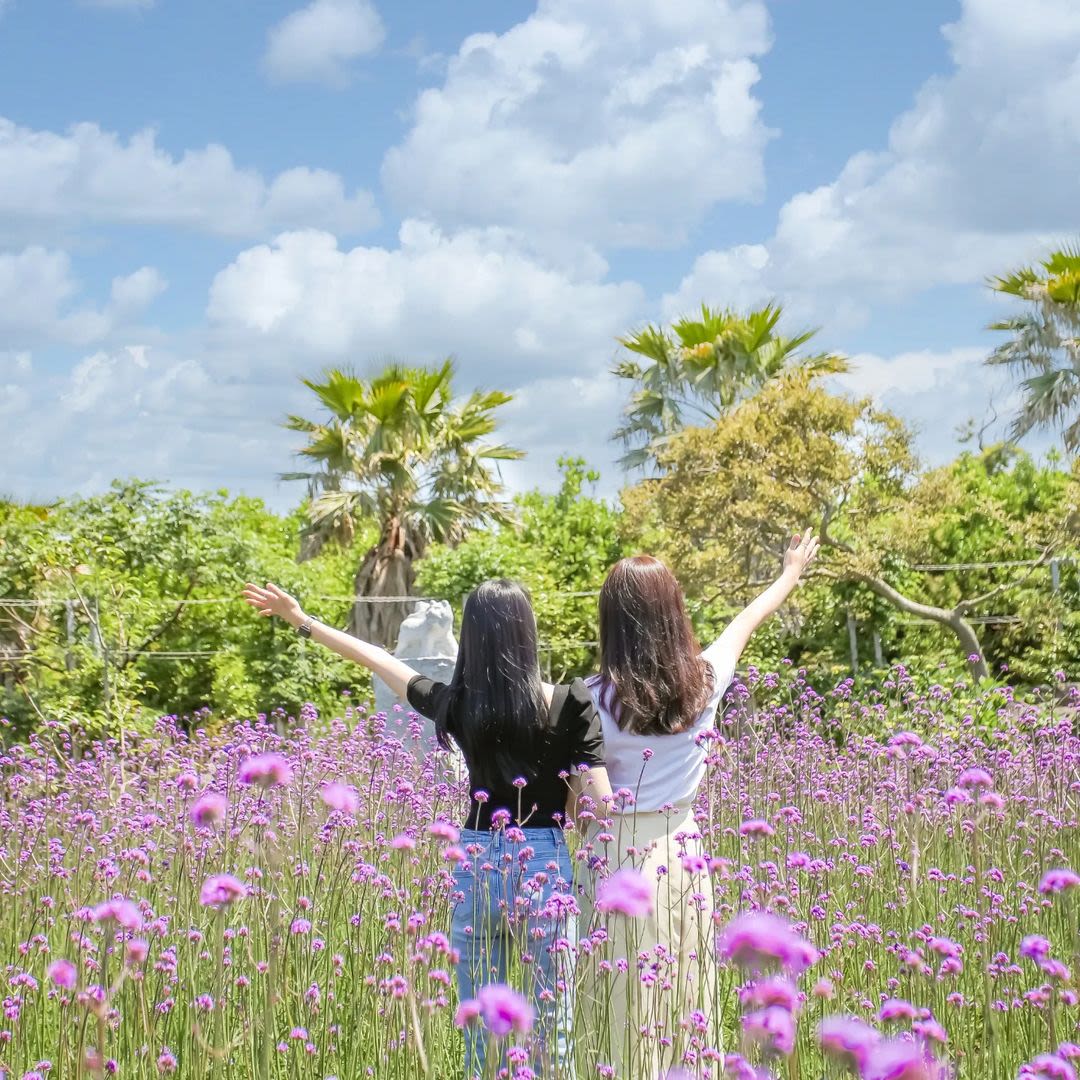 済州の夏の花祭り