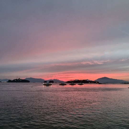 하늘보리