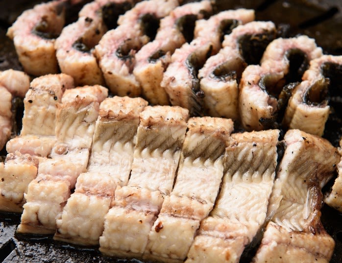 Grilled See Eel