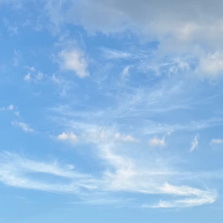 갱미GANGMI