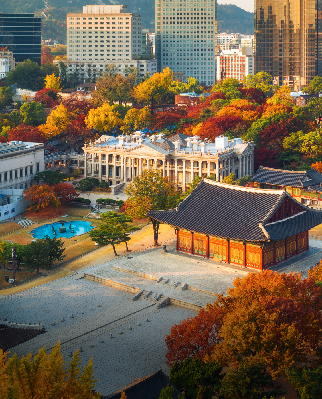 Seoul in October Thumbnail