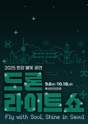 2025 Drone Light Show: Fly with Soul, Shine in Seoul