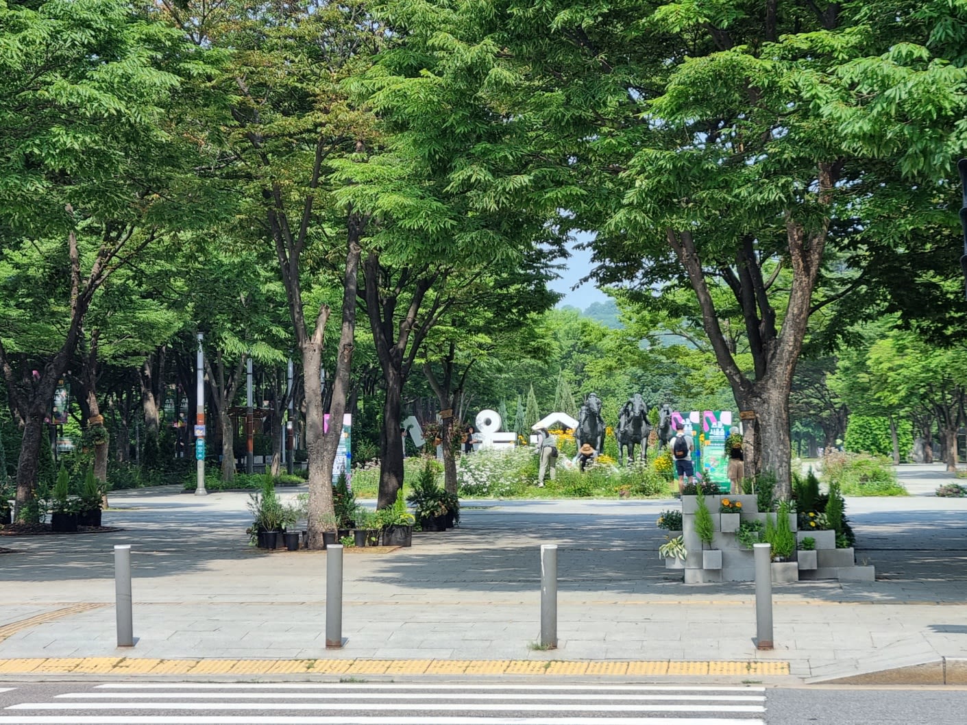 Seoul Forest is right across the street