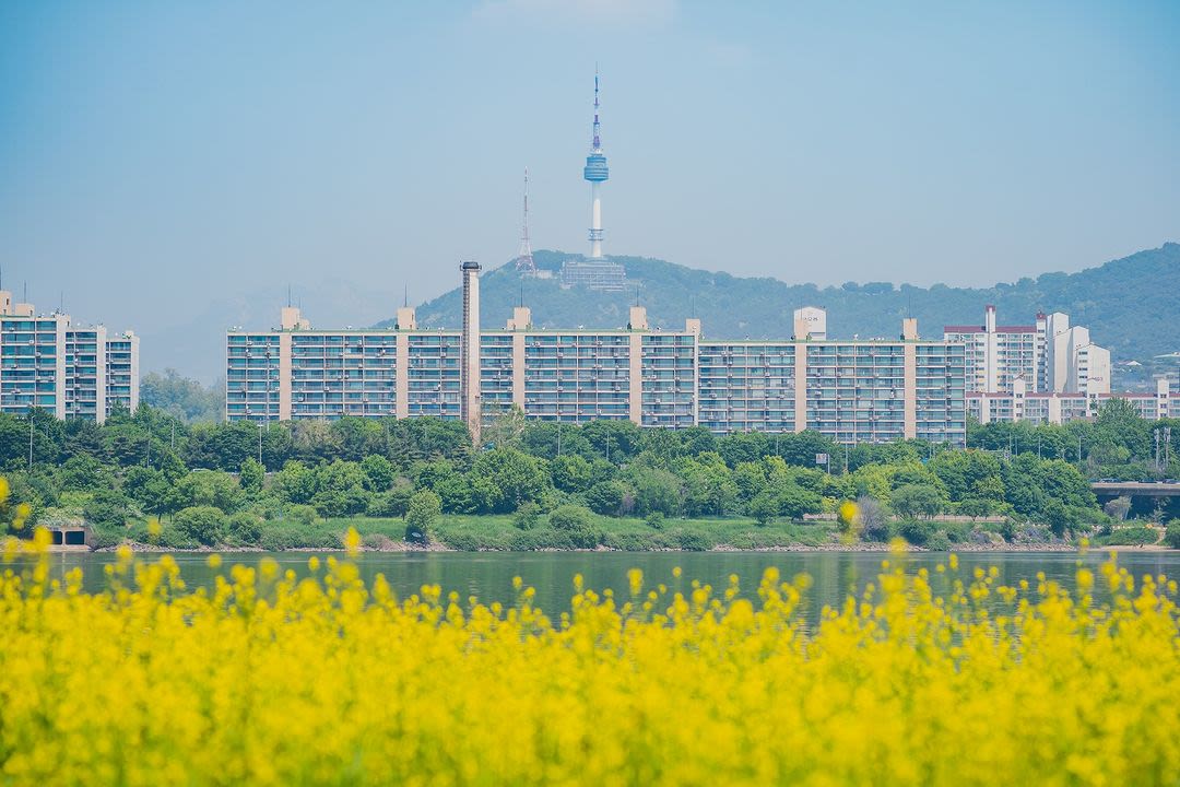 ソレ島の菜の花祭り