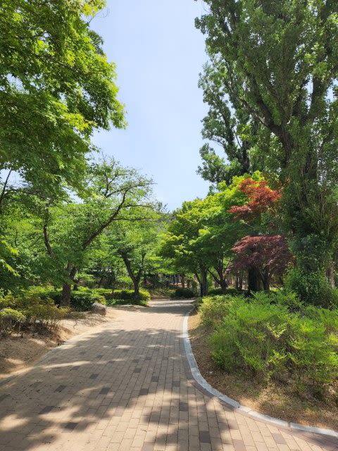 지은이