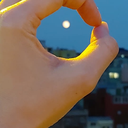 nahye 27