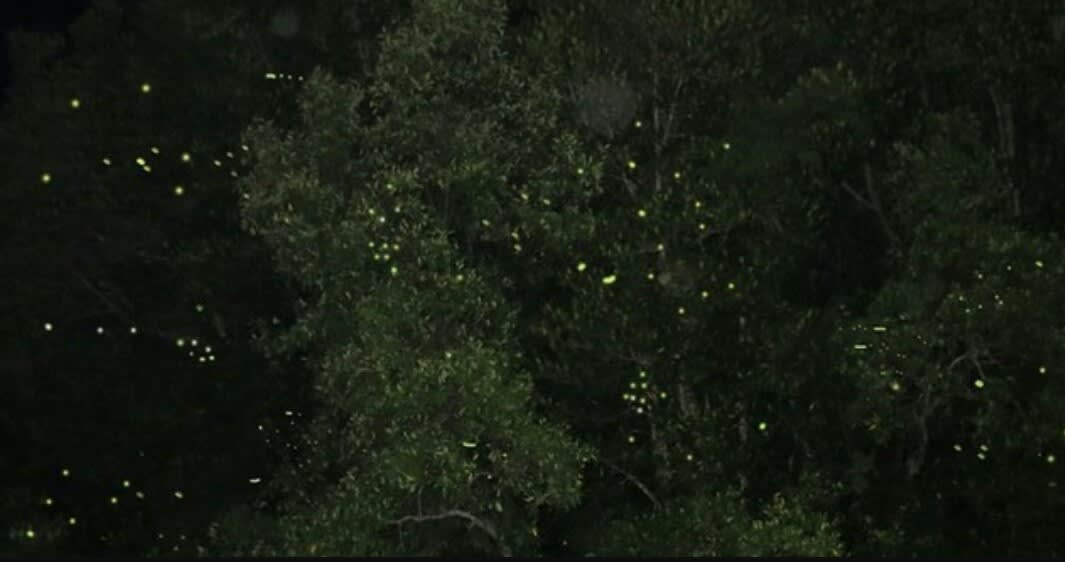 poi-image-1
