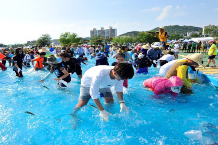 ソウル発] 2026 奉化ヤマメ祭り 日帰りツアー | NOL World