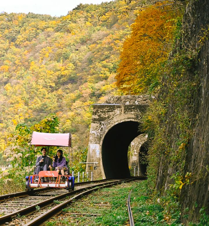 Nami Island · Gangchon Rail Bike · Samaksan Cable Car PrivateTour
 thumbnail