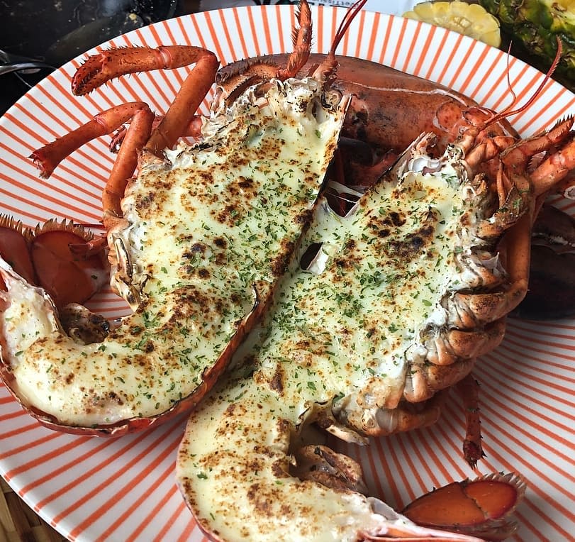 Lobster