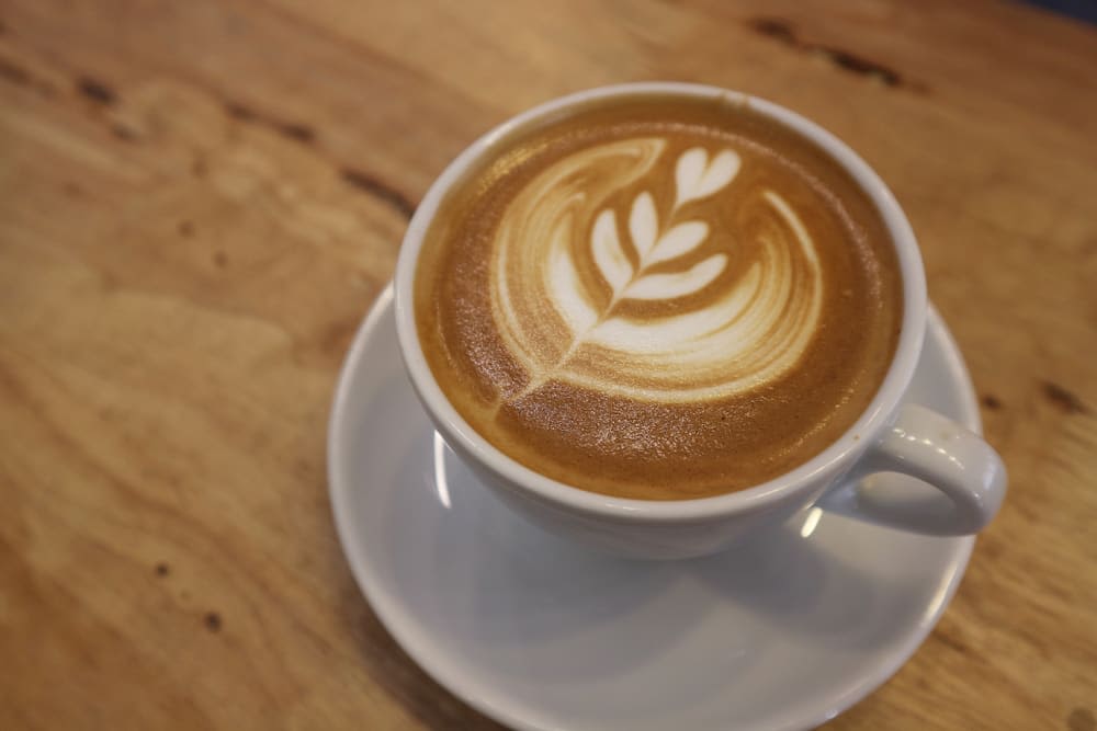 Cappuccino