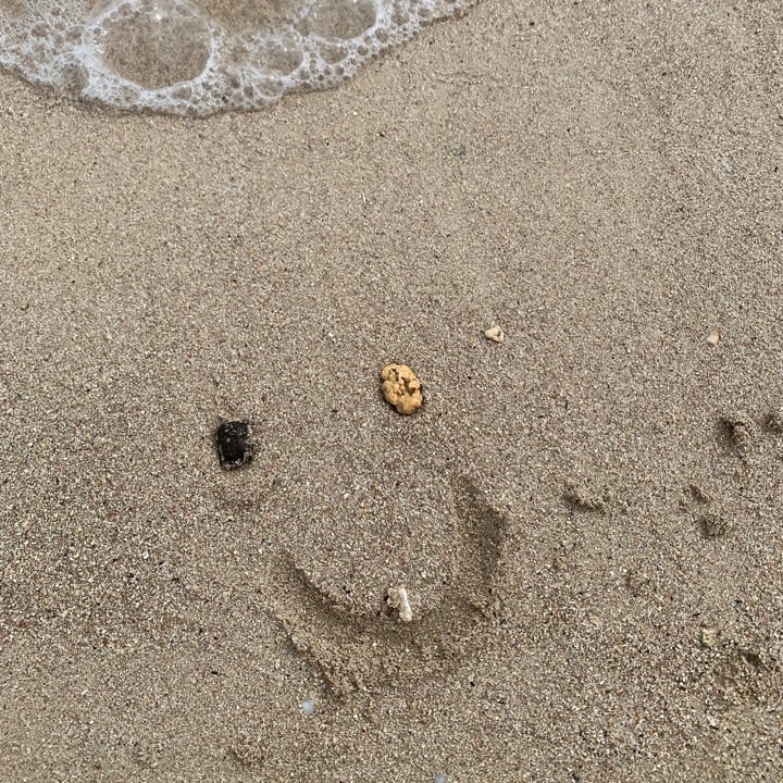 소잇