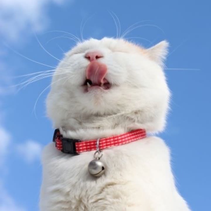 user profile image