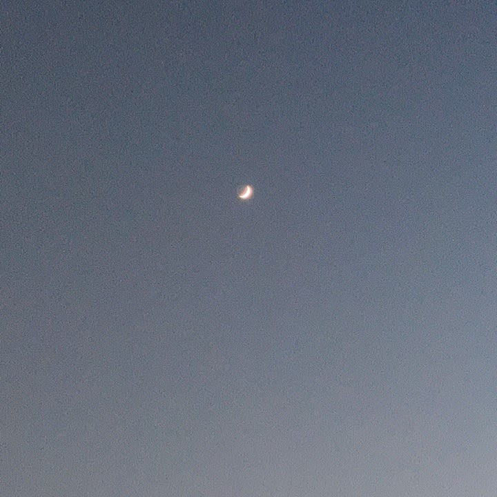 림