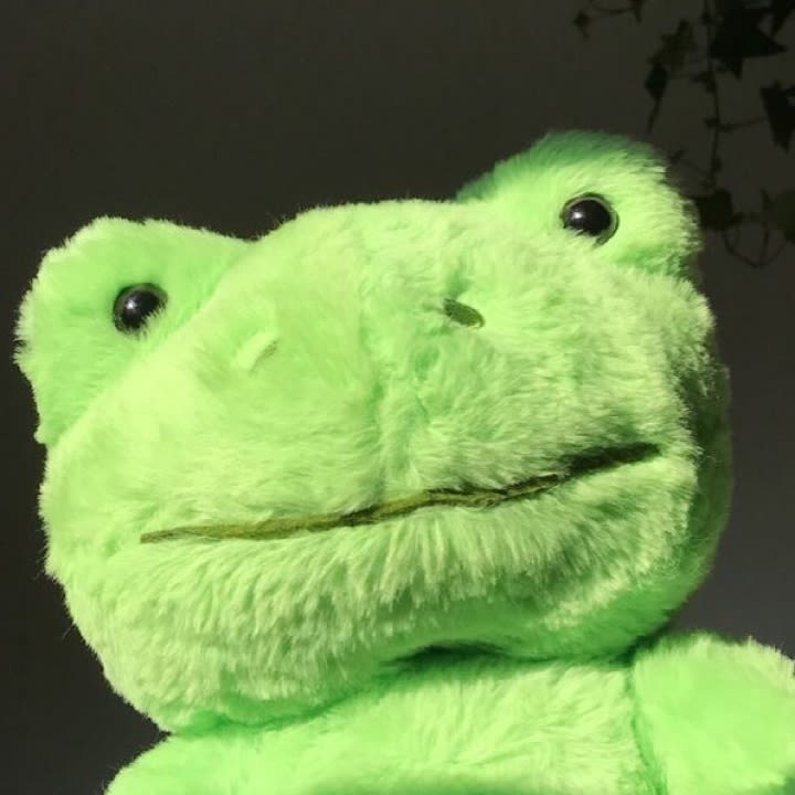 user profile image