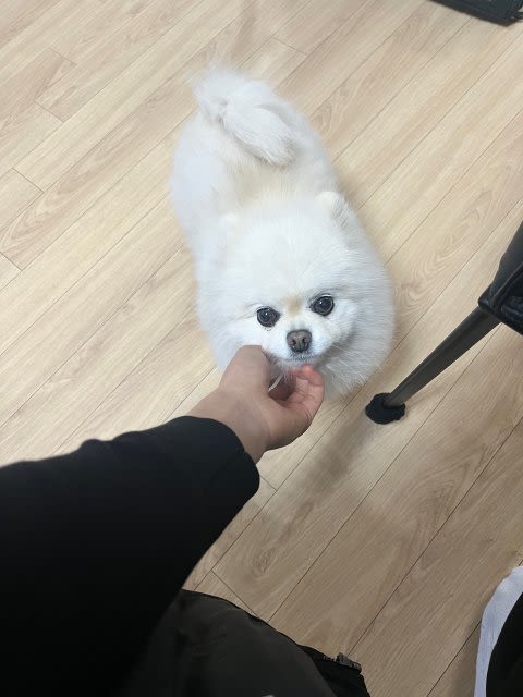 부엉이카페