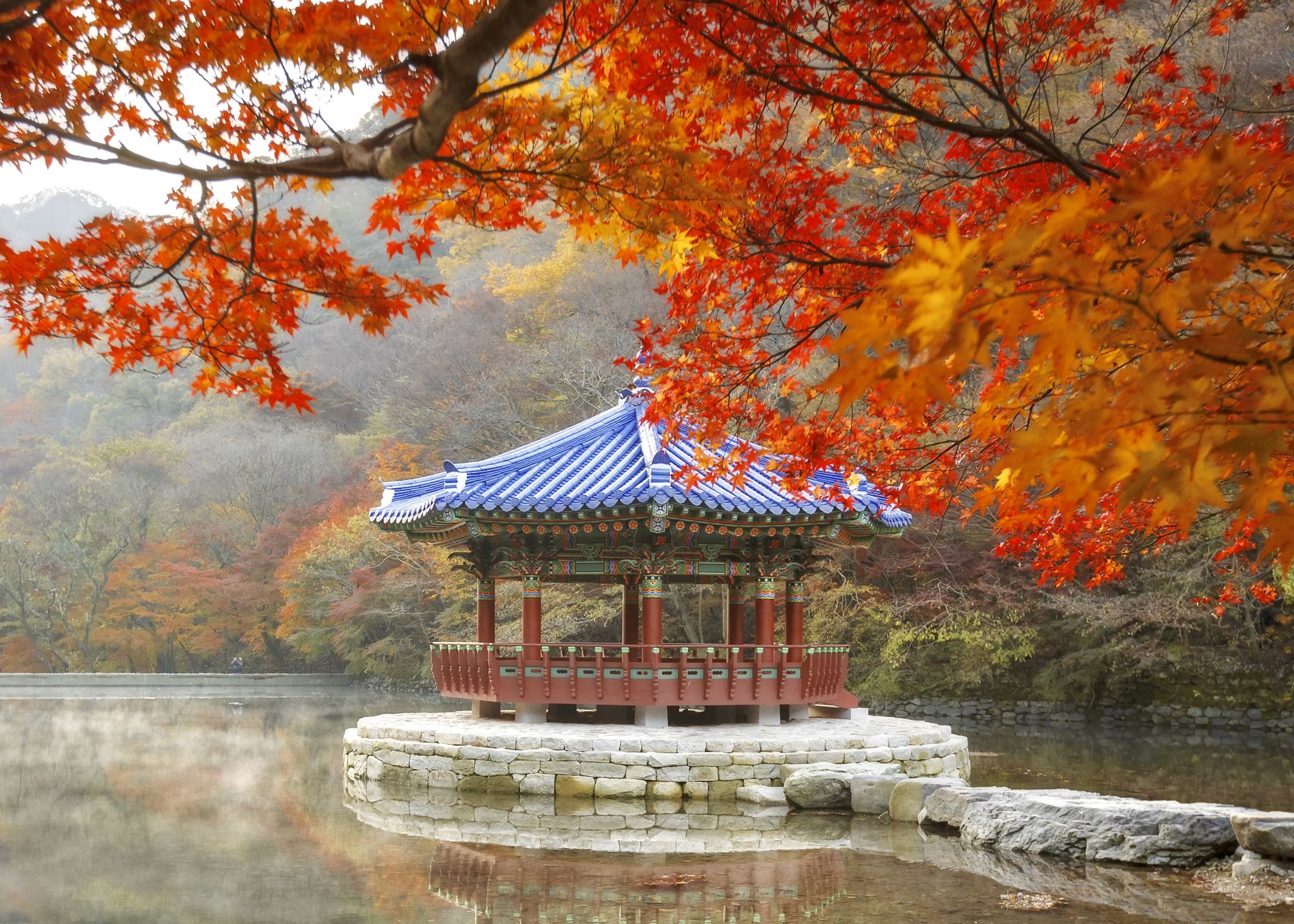 釜山発】内蔵山（ネジャンサン）国立公園 紅葉日帰りツアー | NOL World