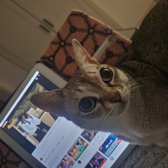 user profile image