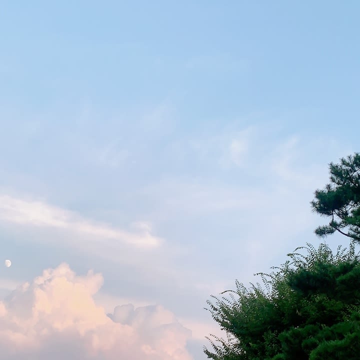 대전 은행 둥지 대표 이미지