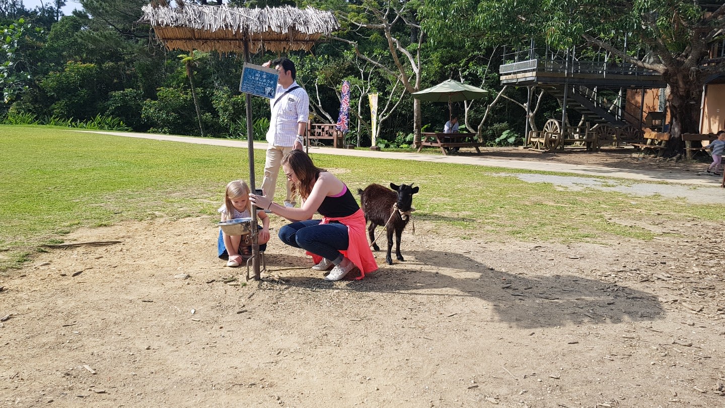 poi-image-2